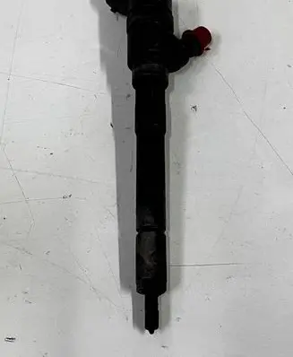 KIA Carens II Fuel injector 0445110258 3380027400