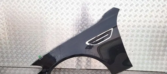 Fender