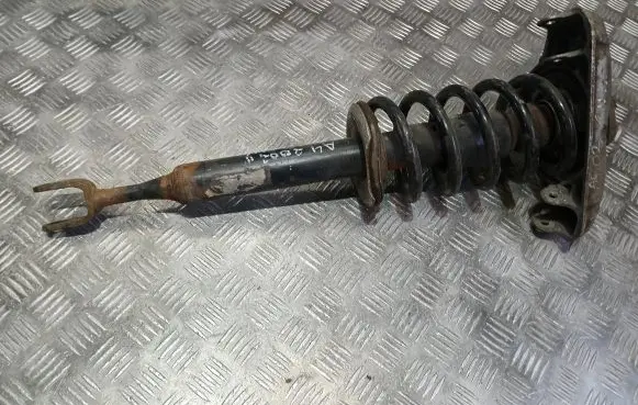 Audi A4 S4 B6 8E 8H Front shock absorber with coil spring