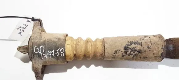 Coil spring mount