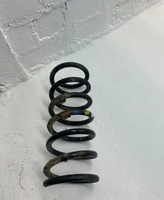 Rear coil spring