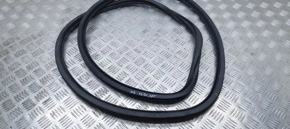 Peugeot 308 Rubber seal front door (on door) 9677519680