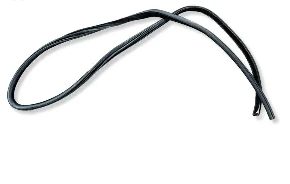 Dodge Charger Rear door rubber seal (on body) 