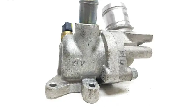 Thermostat/thermostat housing