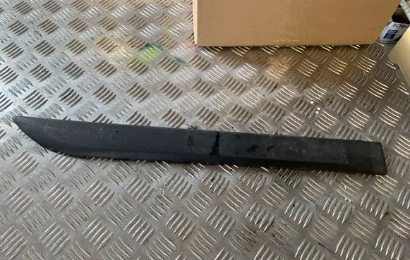 Dacia Sandero Rear door trim (molding) 8201289761