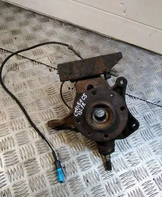 Citroen C5 Front wheel bearing hub 