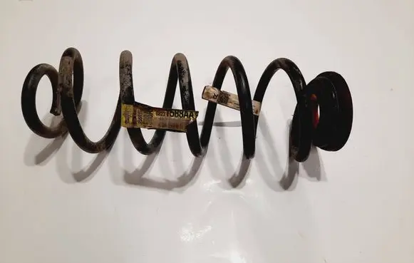 Rear coil spring