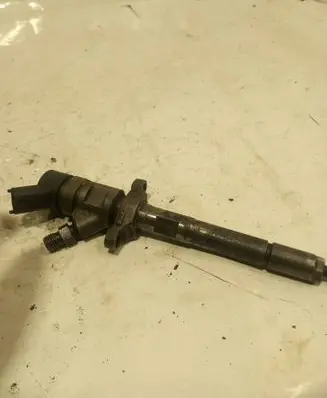 Peugeot 5008 Fuel injector 0445110259
