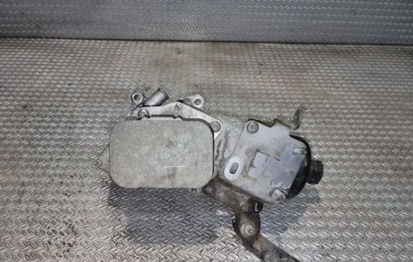 Peugeot Partner Oil filter mounting bracket 9687847480