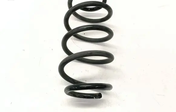 Rear coil spring
