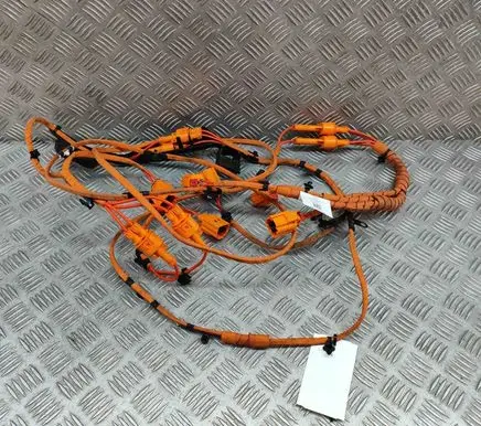 Volkswagen ID.5 Other wiring loom 1EA971398AK