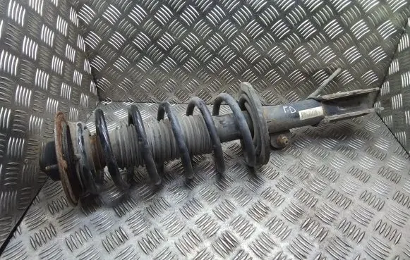 Chevrolet Captiva Front shock absorber with coil spring