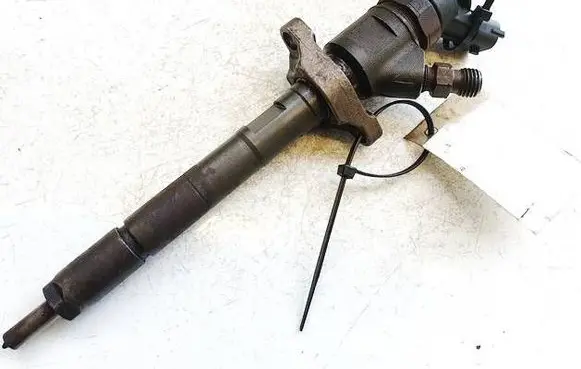 Citroen C3 Picasso Fuel injector 0445110297