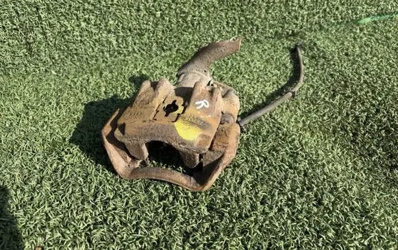 Rear brake caliper