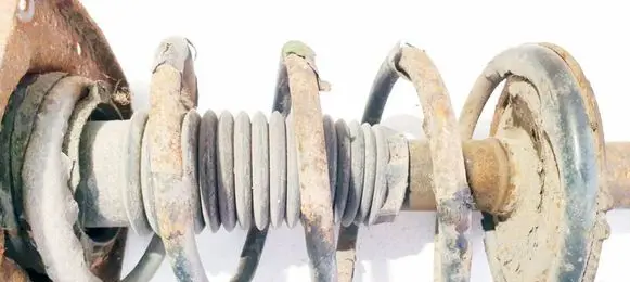 Fiat Scudo Front coil spring 