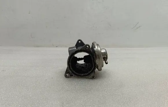 Volkswagen Golf V EGR valve 038131501AH 119017006