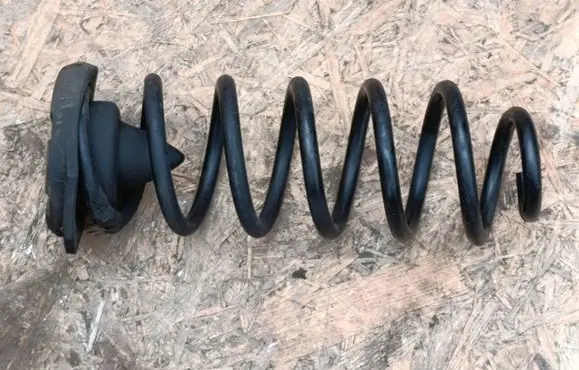 Rear coil spring