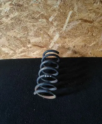 Rear coil spring