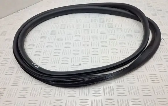 Renault Scenic E-Tech V Front door rubber seal 
