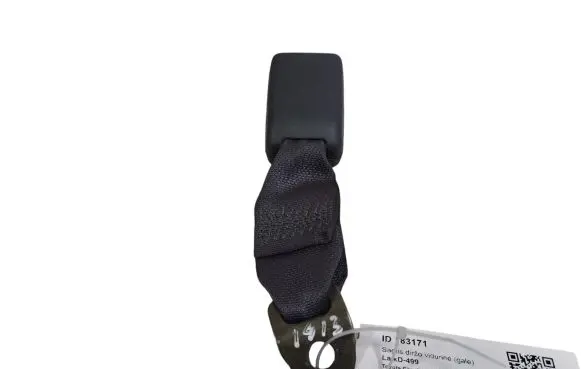 Middle seatbelt buckle (rear)