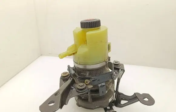 Renault Trafic III (X82) Power steering pump 491100616R 93457191 A0047924A