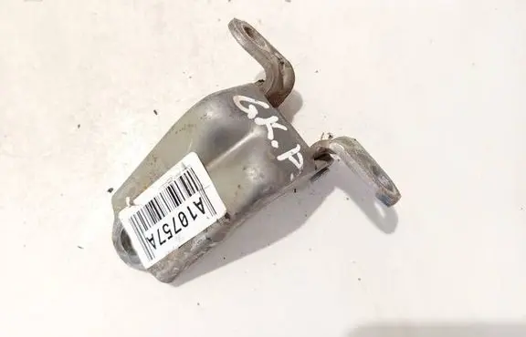 Rear door lower hinge