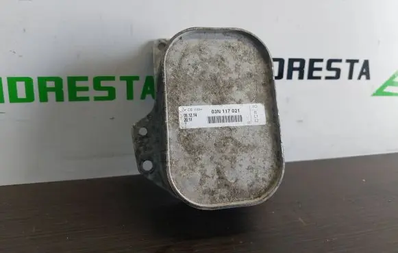 Skoda Octavia Mk3 (5E) Oil filter mounting bracket 03N117021