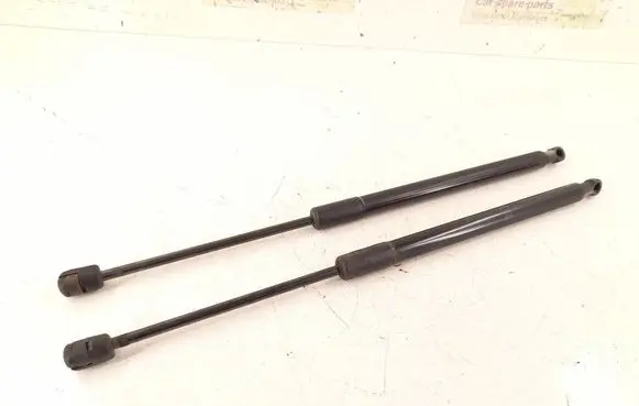 Tailgate strut