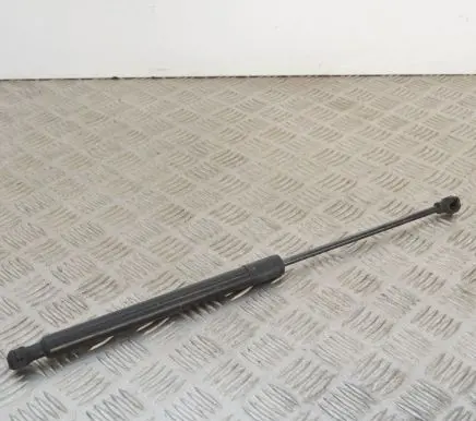 Dacia Sandero Tailgate/trunk strut/damper 904529943R