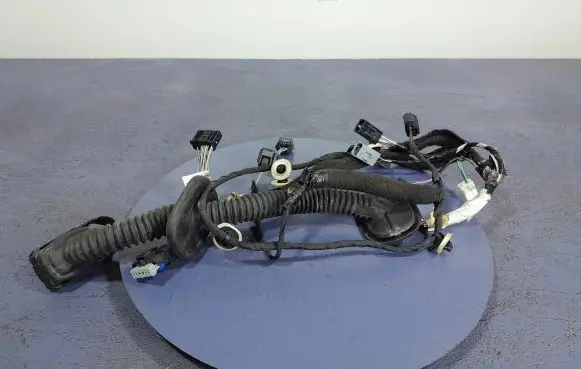 Renault Megane IV Other wiring loom 241248797R