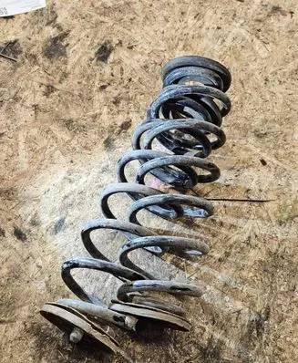 Rear coil spring