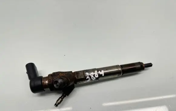 Renault Megane IV Fuel injector 166006212R H8201100113