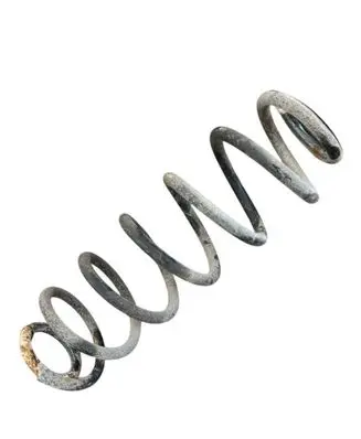 Skoda Octavia Mk3 (5E) Rear coil spring