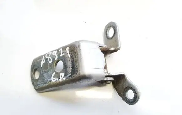 Rear door lower hinge