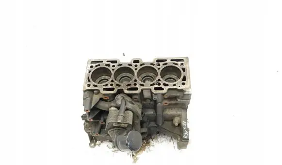 Renault Clio IV Engine block 19733R