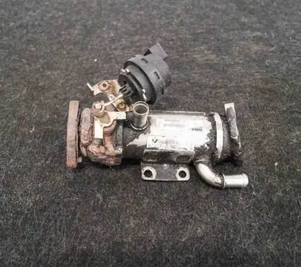 Renault Trafic II (X83) EGR valve cooler 8200611709876481V