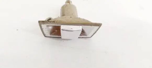 Front fender indicator light