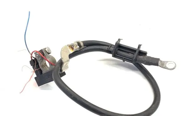Mercedes-Benz A W176 Negative earth cable (battery) A1665420018