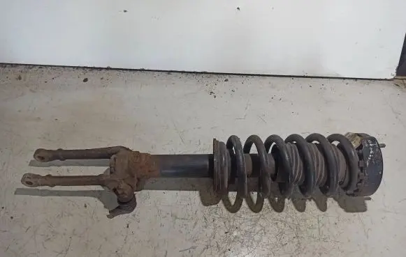 Chrysler 300 - 300C Front shock absorber with coil spring 04895413AA