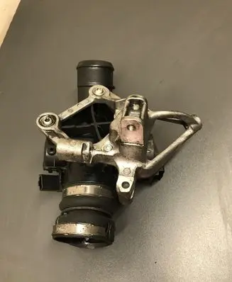 Citroen Berlingo Throttle valve