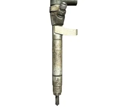 Mercedes-Benz S W220 Fuel injector A6130700887
