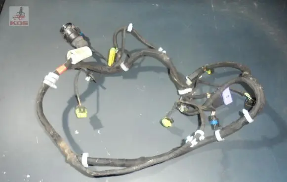 Maserati Quattroporte Front door wiring loom 206228