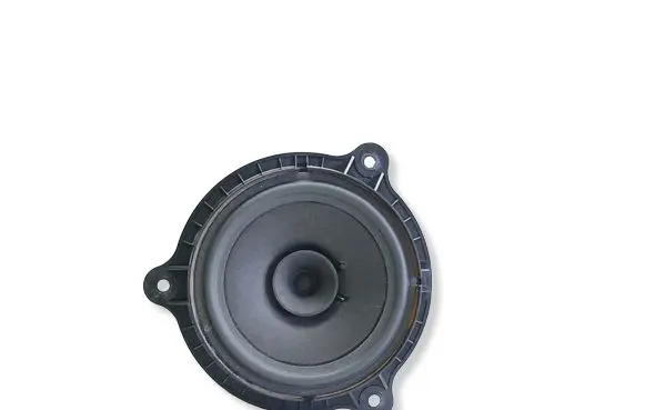 Nissan Qashqai+2 Rear door speaker 28156BR00A 114211