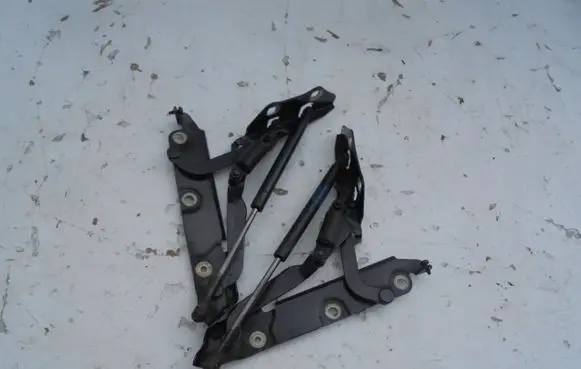 Tailgate/trunk/boot hinge