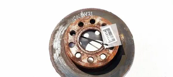 Volkswagen Golf V Rear brake disc NEVENTILIUOJAMAS