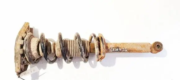 Rear shock absorber/damper