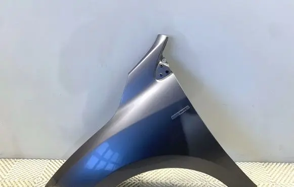 Renault Megane III Fender TEKNG