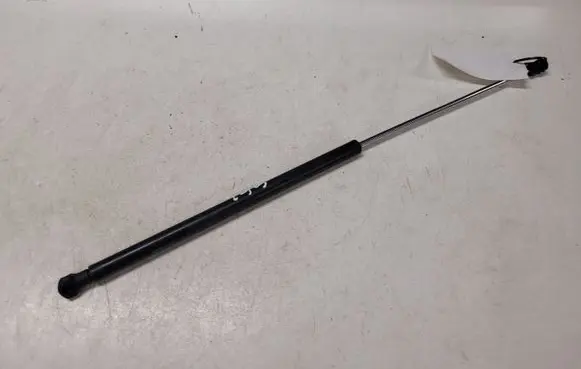 Renault Laguna II Rear window strut damper 8200000896 21019101
