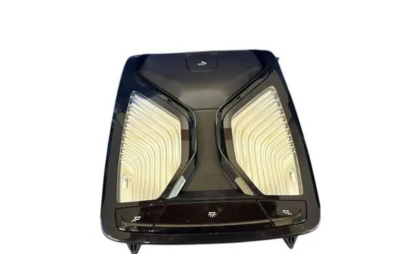 BMW i4 Front seat light 5B32479 28820714 2232821013
