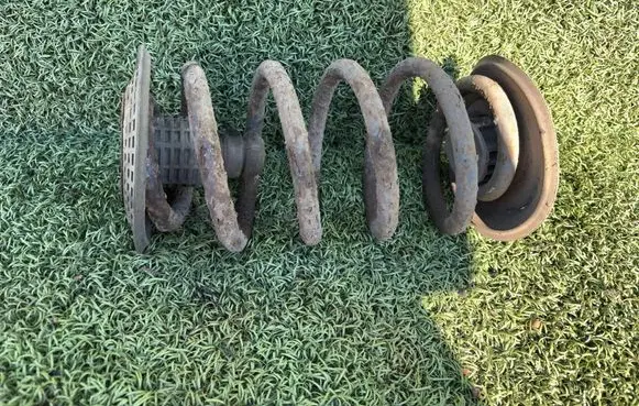 Rear coil spring